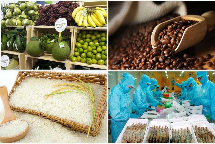  Tình hình xuất khẩu nông sản Việt Nam quý I/2021: Tín hiệu khả quan