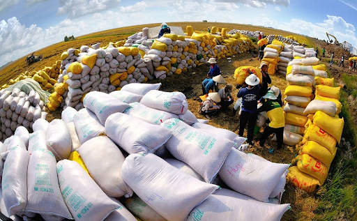 Dự báo nhập khẩu gạo trong năm 2023 so với 2022 sẽ giảm ở một số nước
