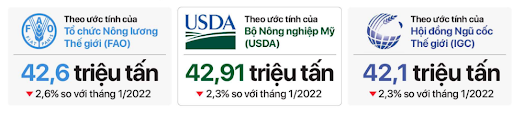 Sản lượng sản xuất gạo thế giới tháng 1/2023
