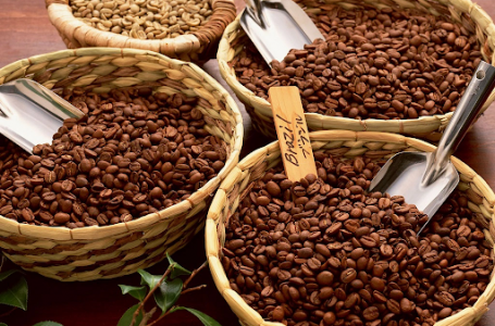 Dự báo giá cà phê nửa cuối năm 2023 – Thách thức hay cơ hội chuyển mình của những mô hình kinh doanh cà phê