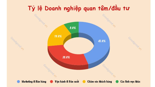 Mức độ ưu tiên áp dụng AI của Doanh nghiệp SME Việt Nam (Năm 2024)
