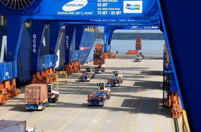 Chiến lược xuất khẩu gỗ Việt Nam 2026 – 2030: Chuyển mình từ gia công sang vị thế trung tâm đồ gỗ toàn cầu