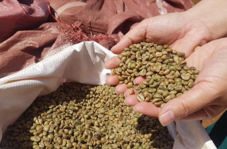 Hành trình xây dựng thương hiệu nông sản Việt trên thị trường quốc tế – Bài học từ những Case study thực chiến