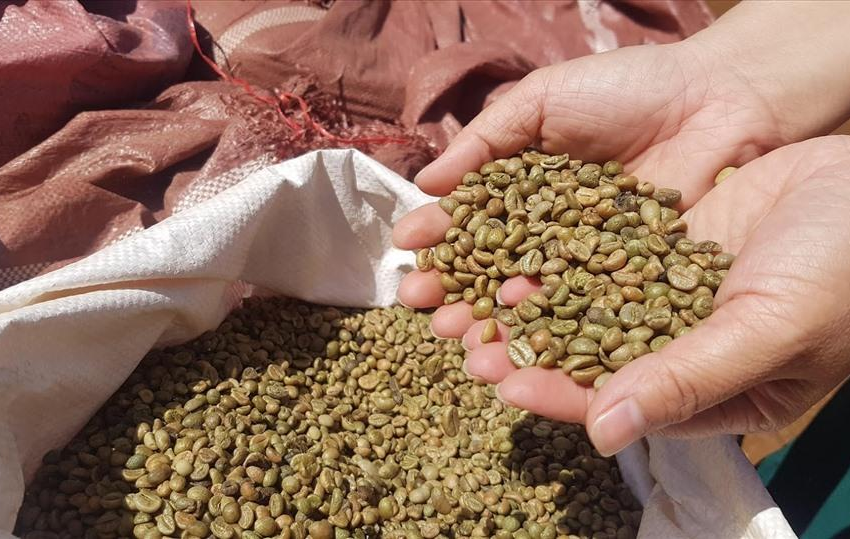  Hành trình xây dựng thương hiệu nông sản Việt trên thị trường quốc tế – Bài học từ những Case study thực chiến