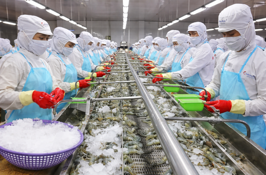 Báo cáo thị trường xuất khẩu thủy sản Việt Nam:Tầm nhìn 2030 và bài toán định vị thương hiệu quốc gia